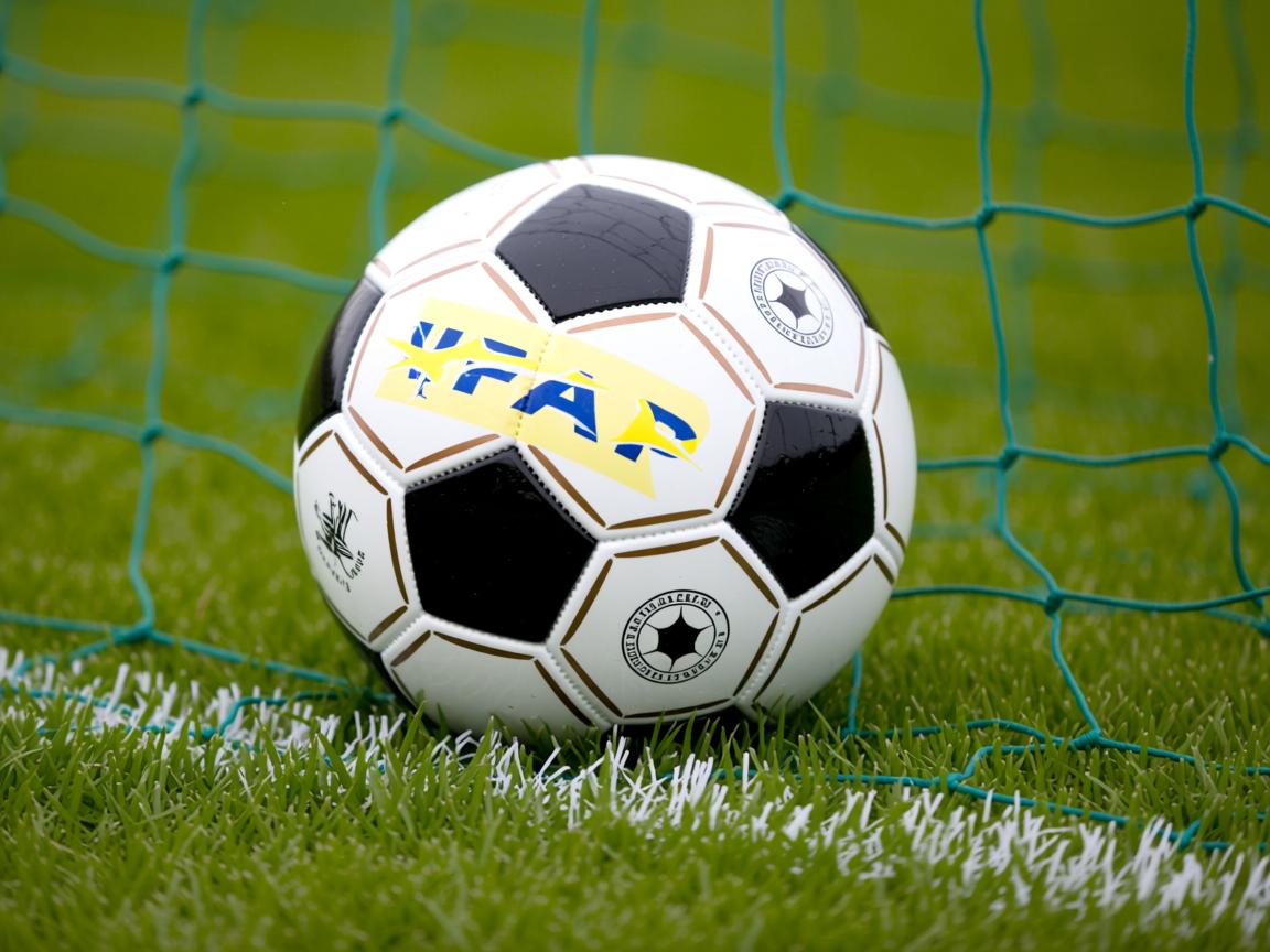 爱游戏-体育新闻中心建设面向基层的体育资讯服务平台，体育新闻专题报道